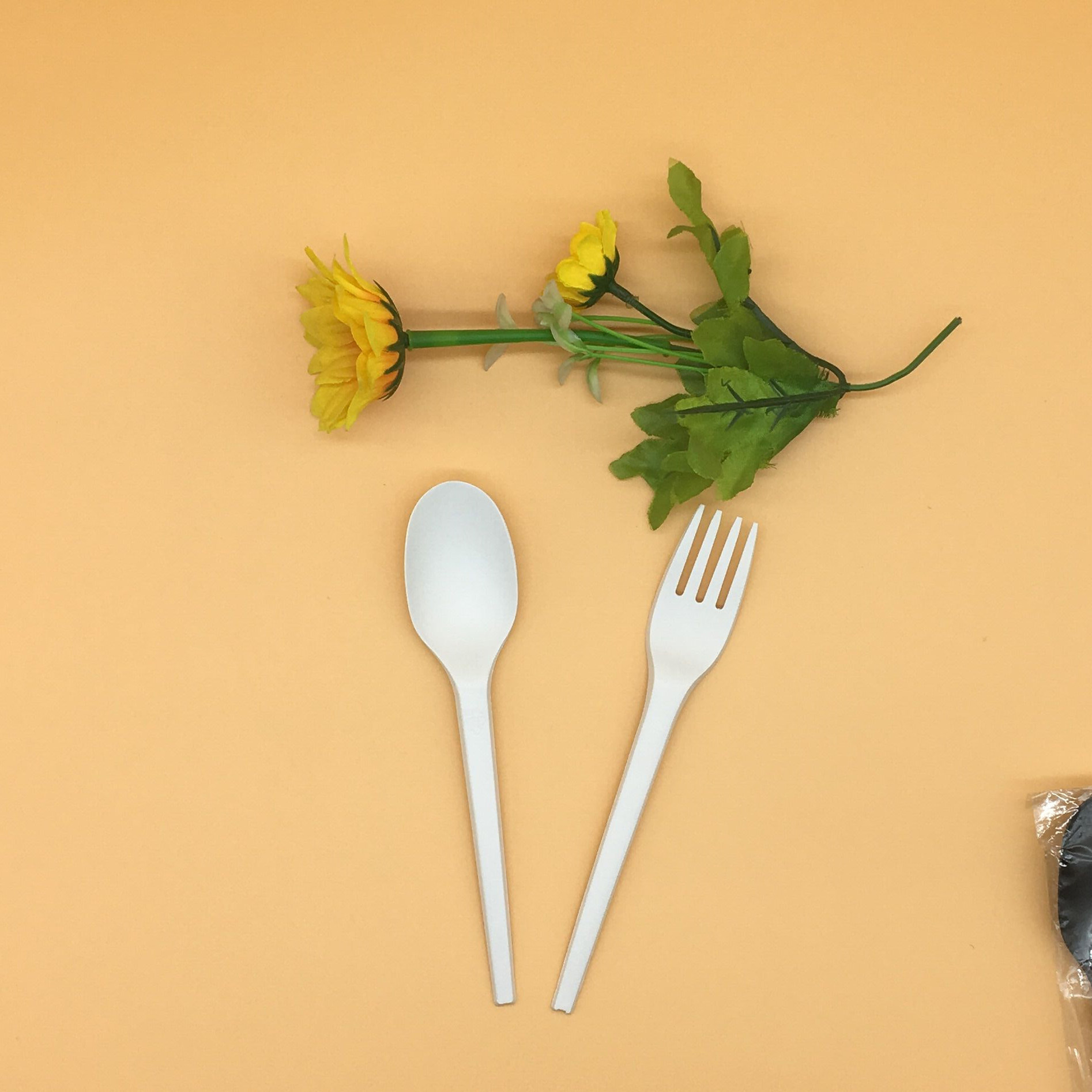 Compostable-Eco-Friendly-Biodegradable-Cpla-Cutlery04